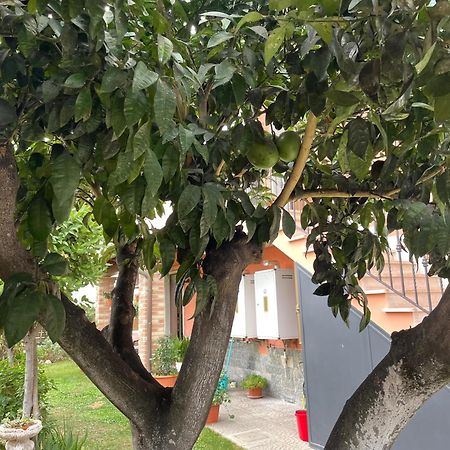 Un Sogno Nel Verde Acilia Dış mekan fotoğraf